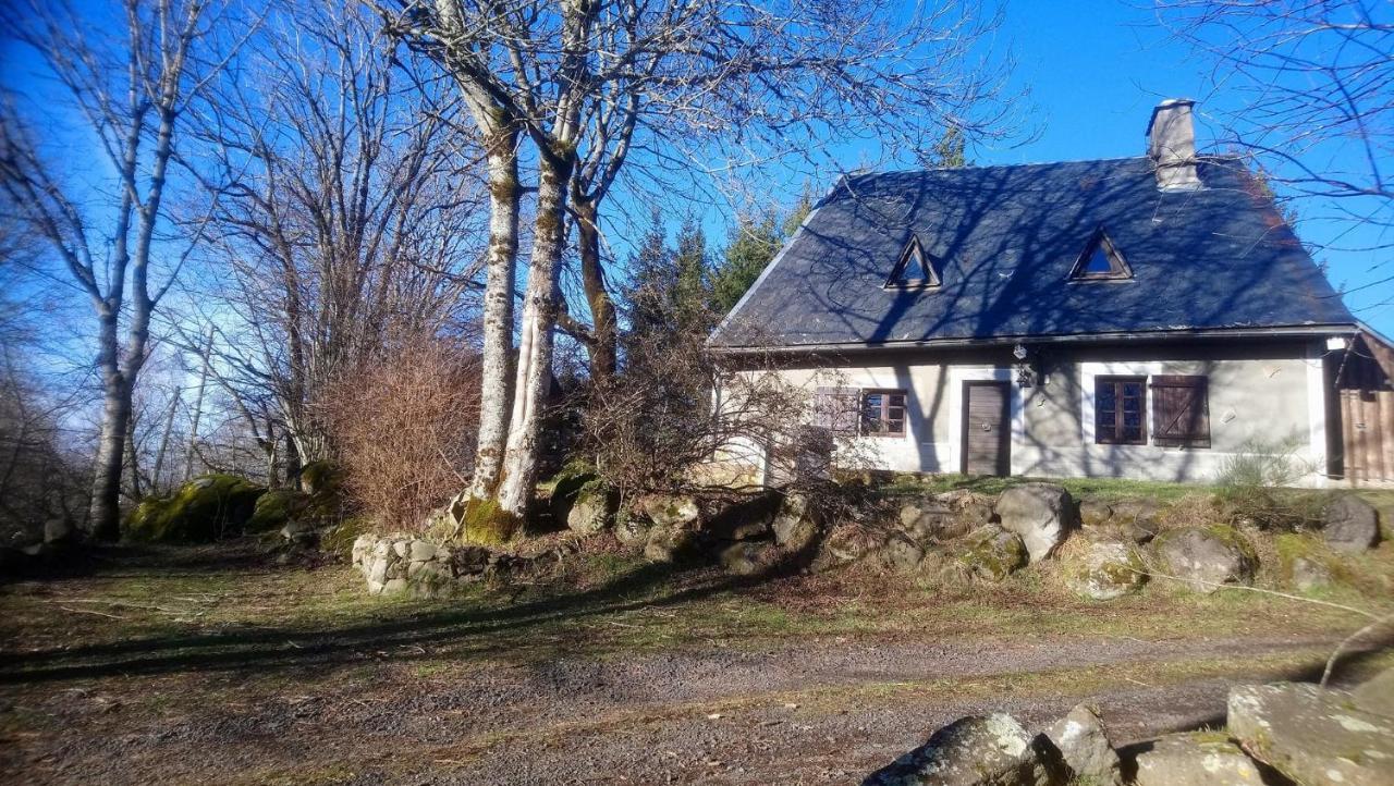 Fermette Typique Auvergnate Dans Son Ecrin D'Eau Et De Verdure Saint-Donat Exterior photo