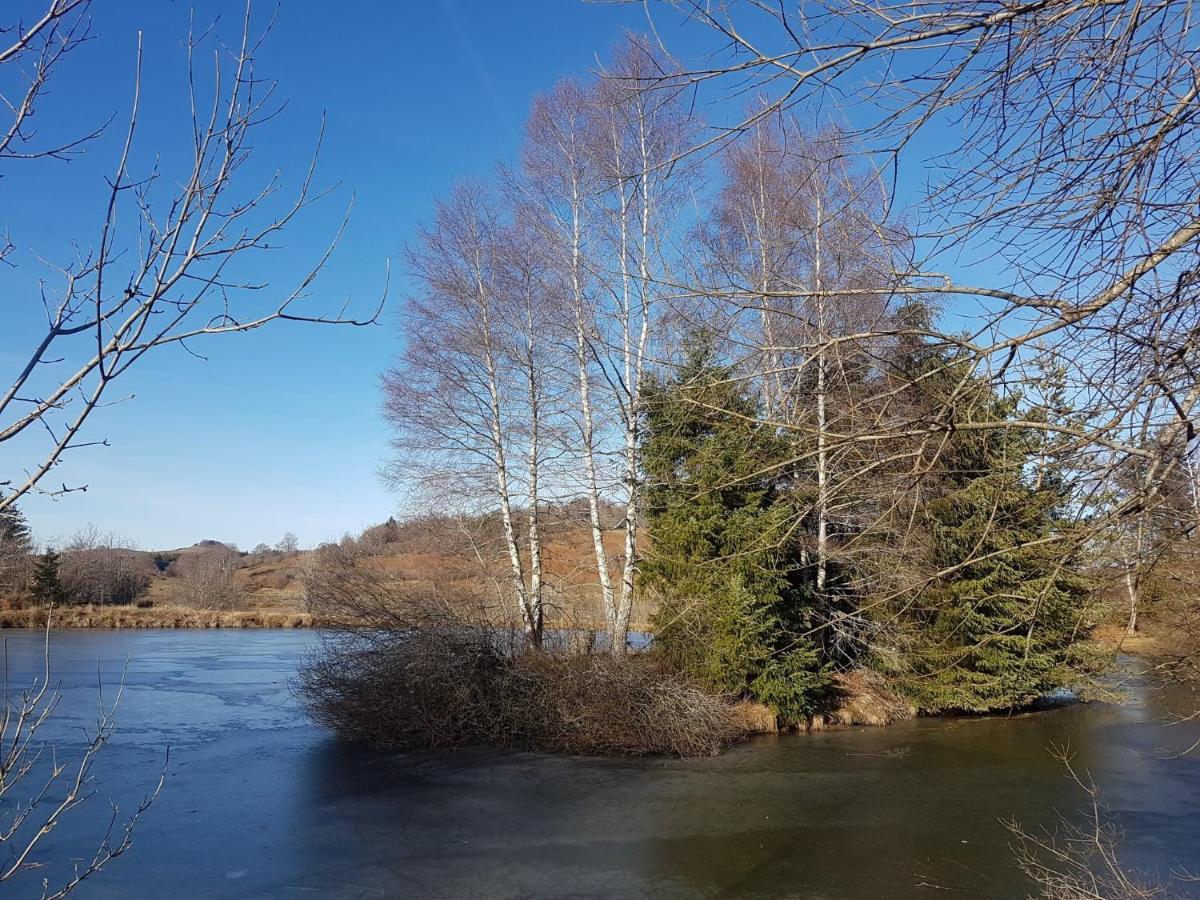 Fermette Typique Auvergnate Dans Son Ecrin D'Eau Et De Verdure Saint-Donat Exterior photo